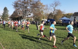 Cross de auvers sur Oise