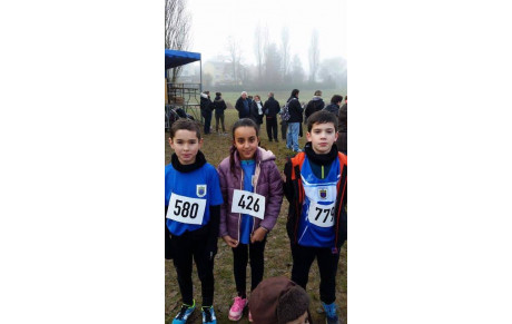 Cross de louvres